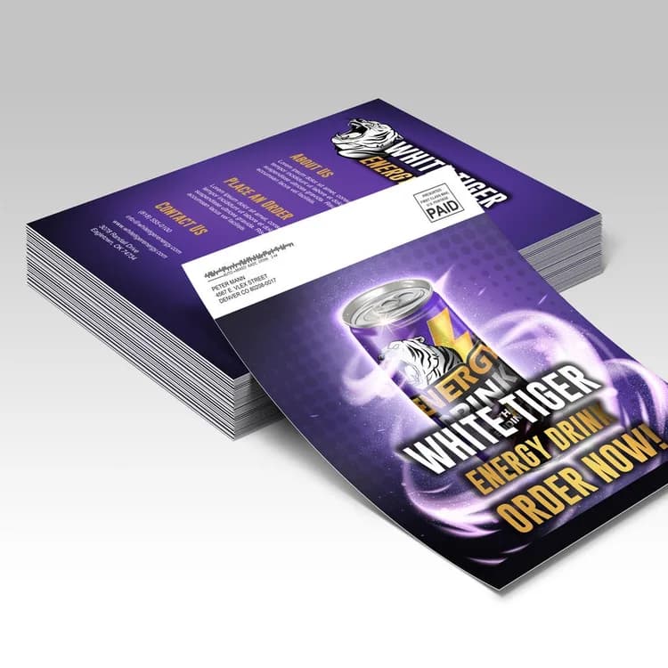 Direct Mail Sell Sheets — illustrative concept
